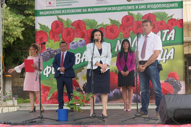 МЗХ отчита устойчив ръст при площите с малини и ягоди за последните три години. министър на земеделието