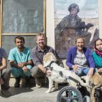приют за животни кучета котки афганистан кабул (Си Ен Ен)