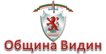 община видин
