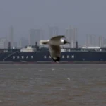 Водещите компании за морски транспорт искат допълнителни уверения за безопасност