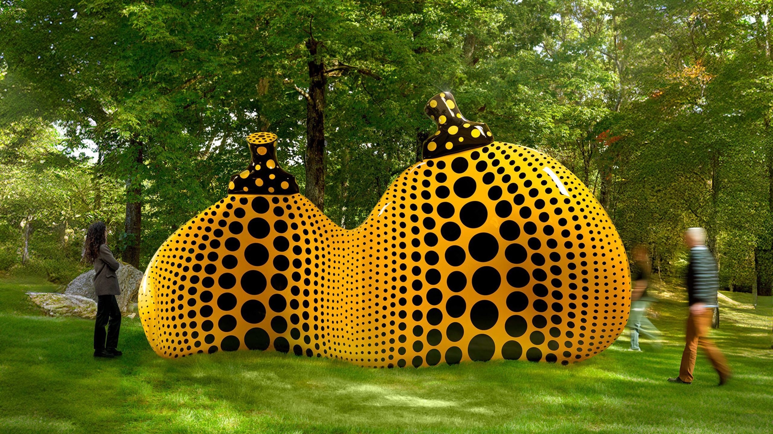 7a0c444325d6232cf9aaa4539da70db092e33bc2 2056x1156 1 scaled