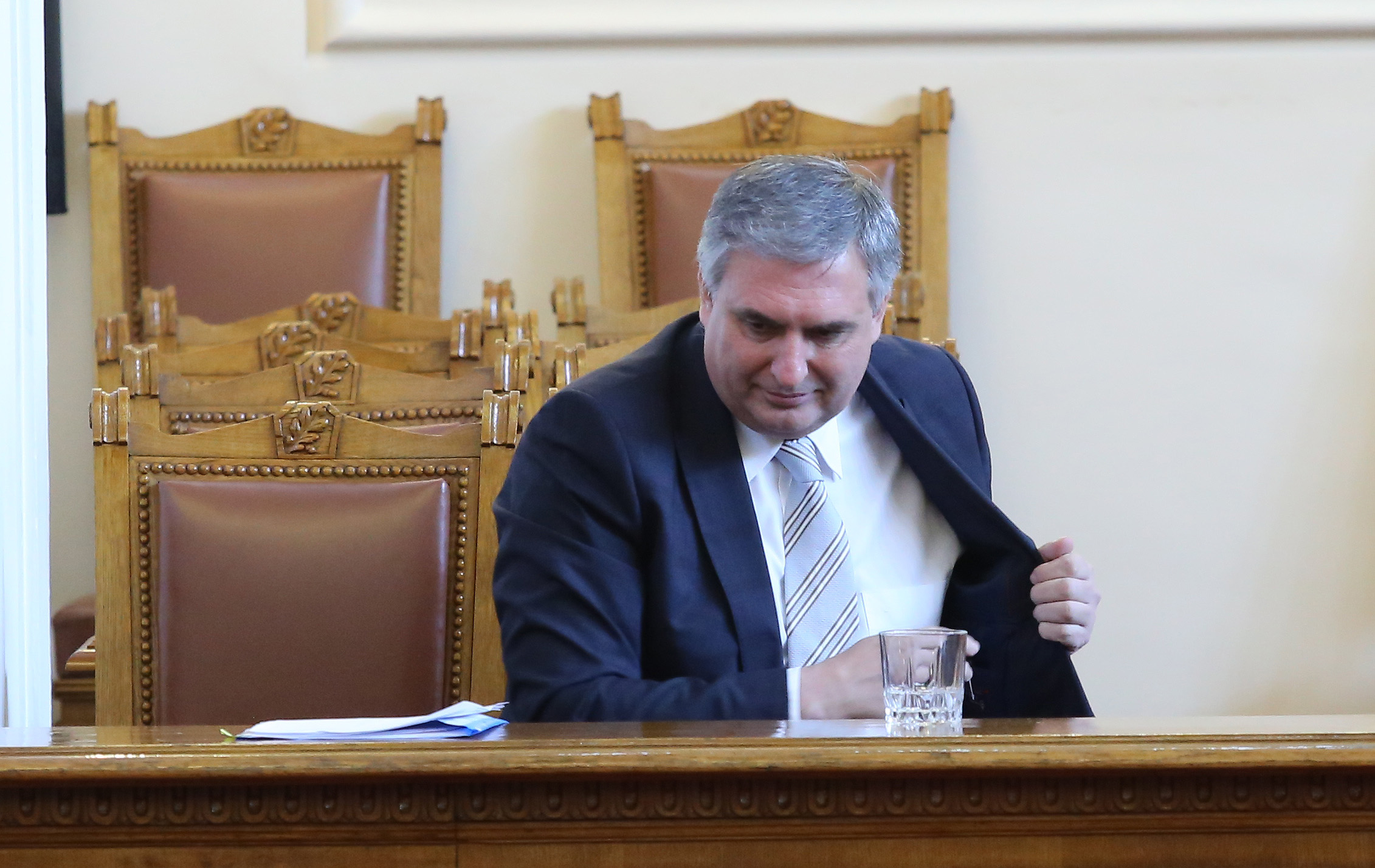 Парламент Ивайло Калфин