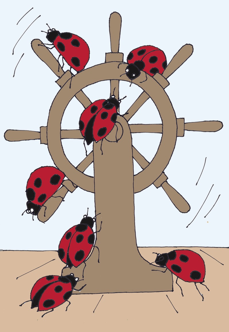 Migration Image