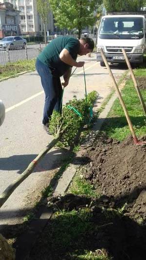 озеленяване