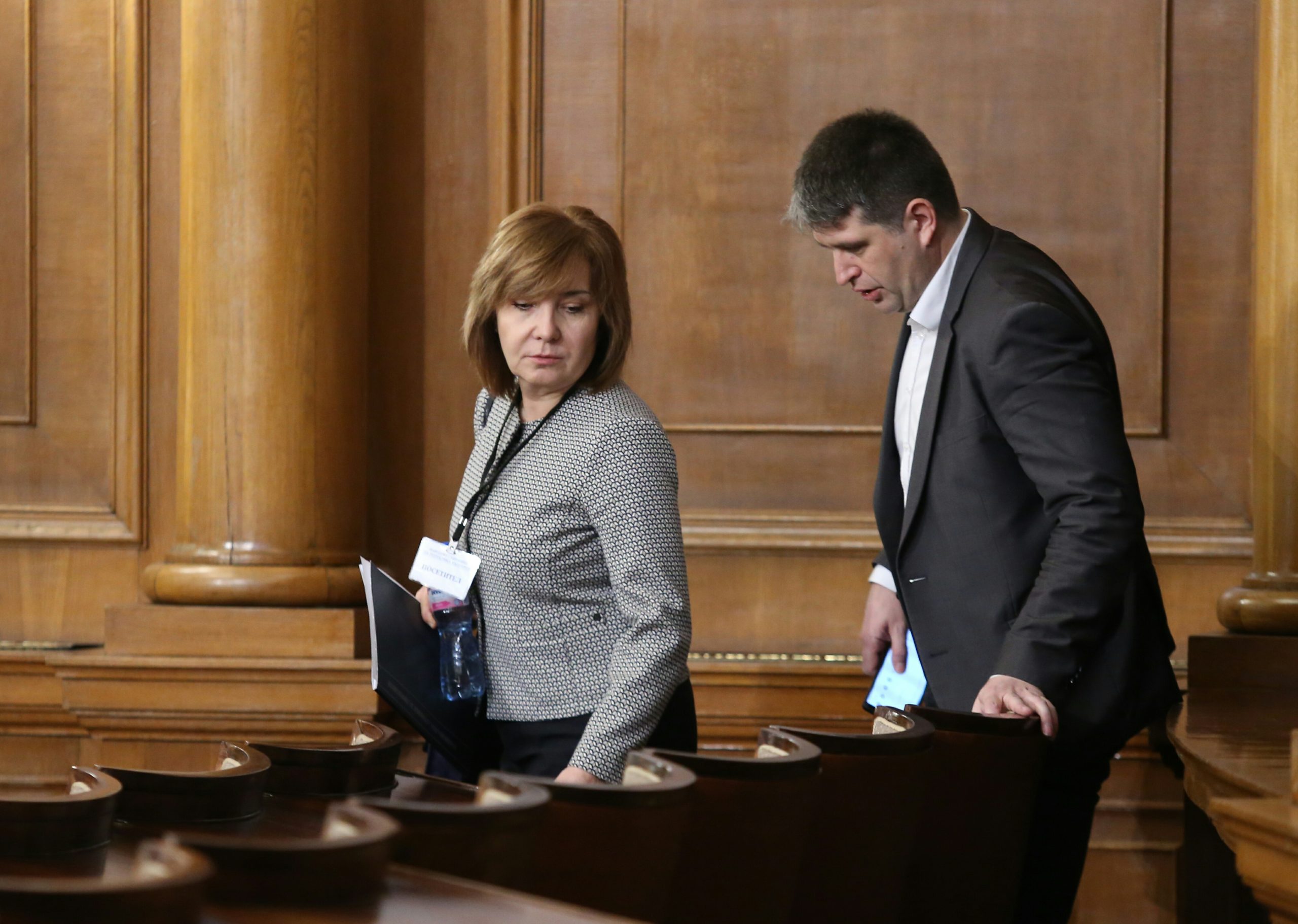 Парламент доклад за работата на Временната комисия за НАП Галя Димитрова - директоп НАП