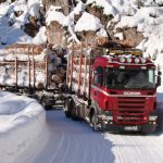 Дърводобив