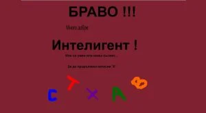 тест за идиоти