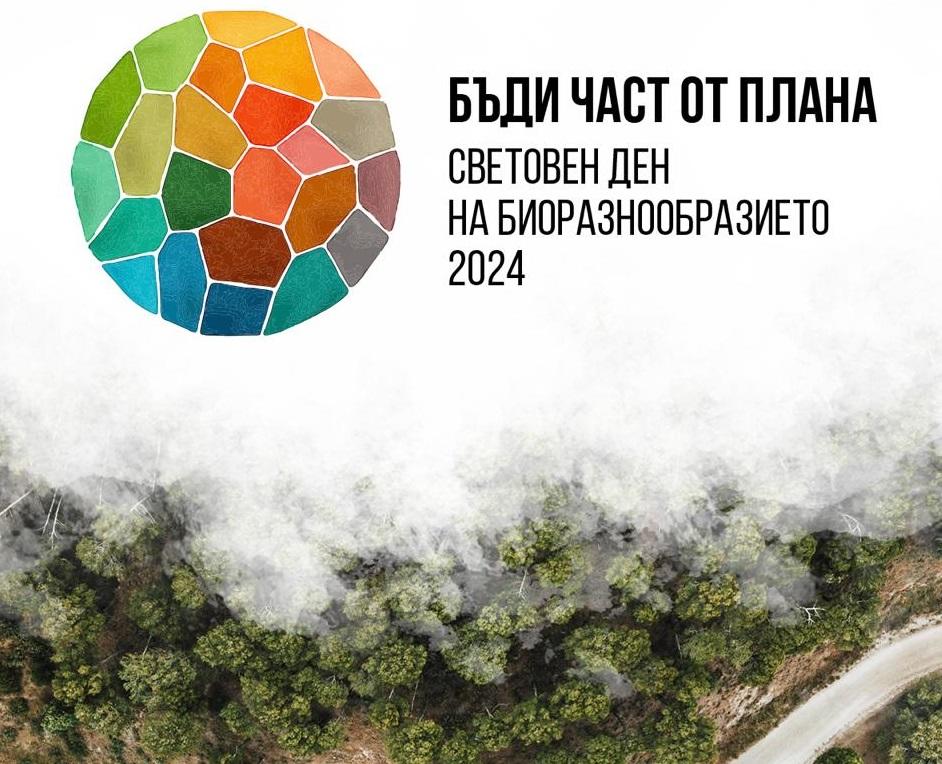 7f16e7710201c6badd83f09888fd8e834022bcc6