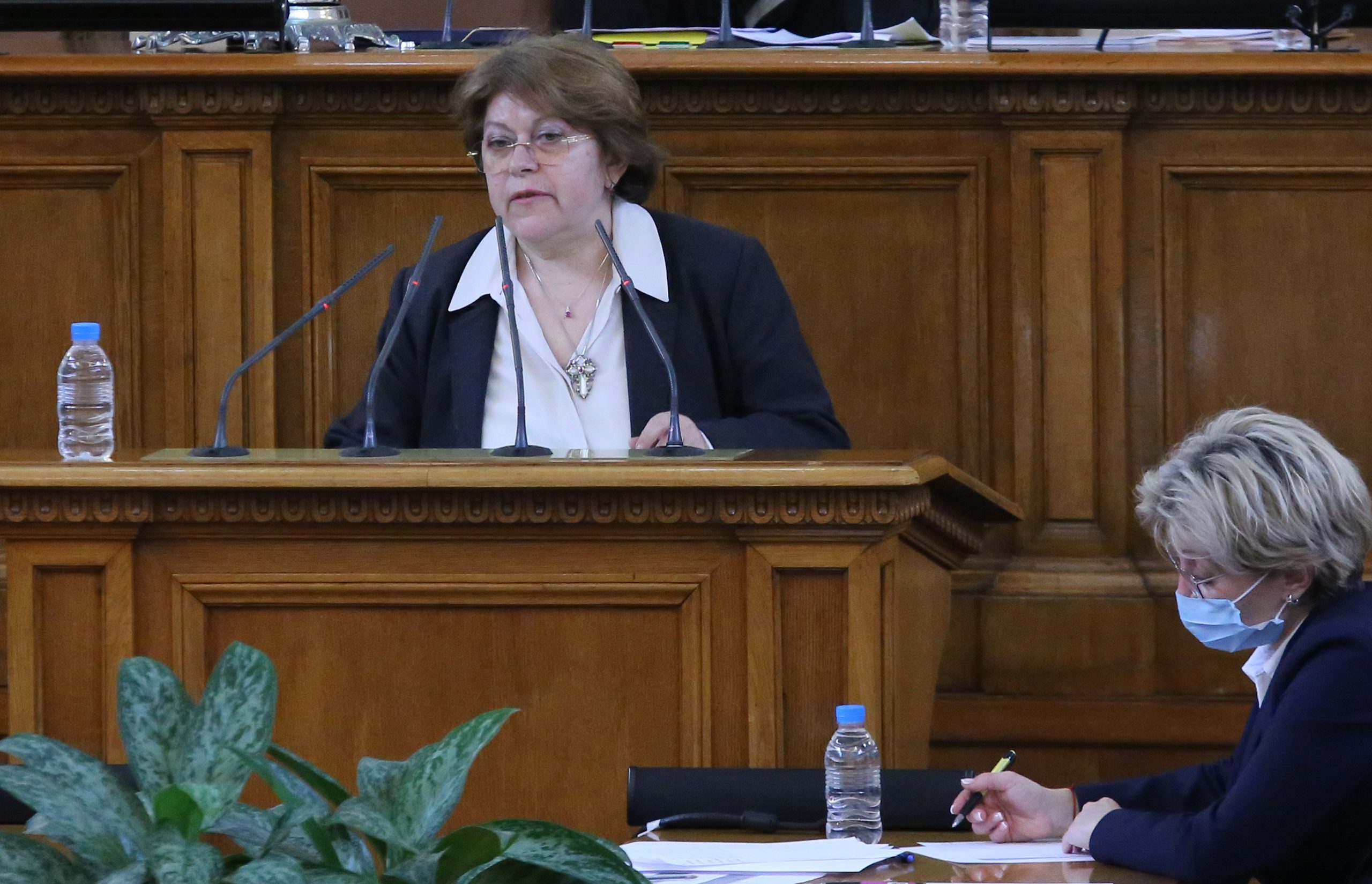 Парламент Татяна Дончева