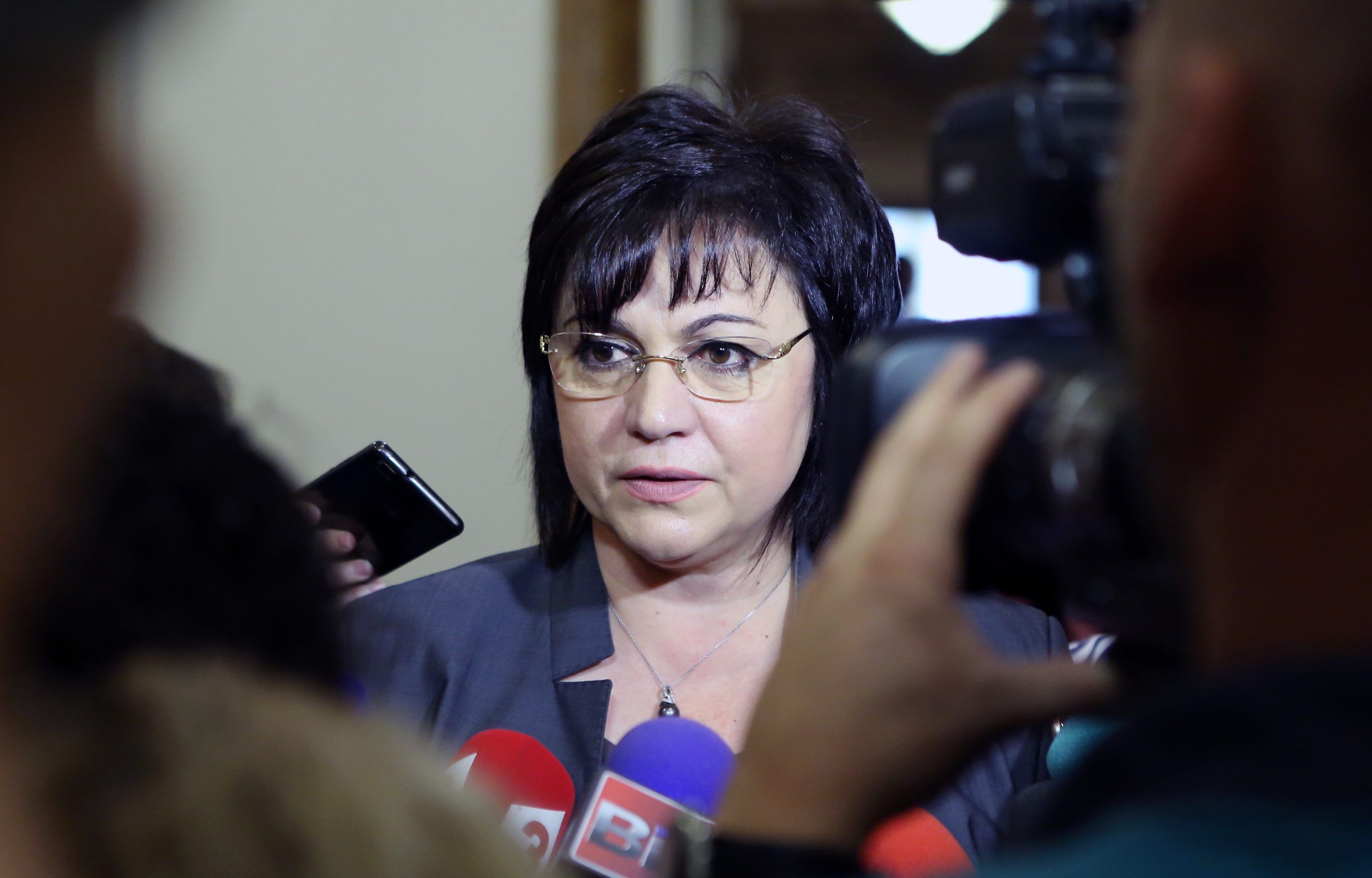 Парламент Корнелия Нинова