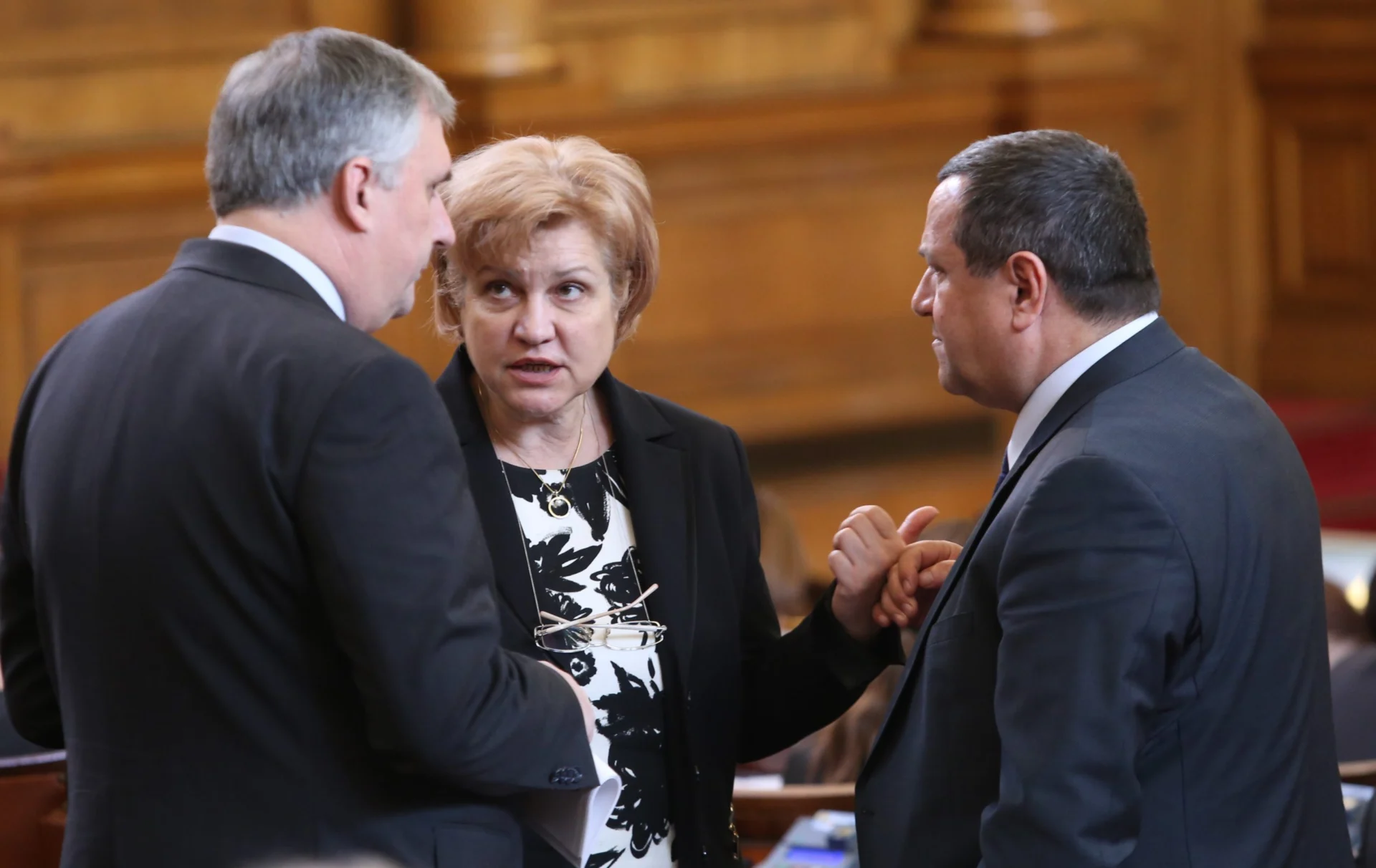Парламент Ивайло Калфин