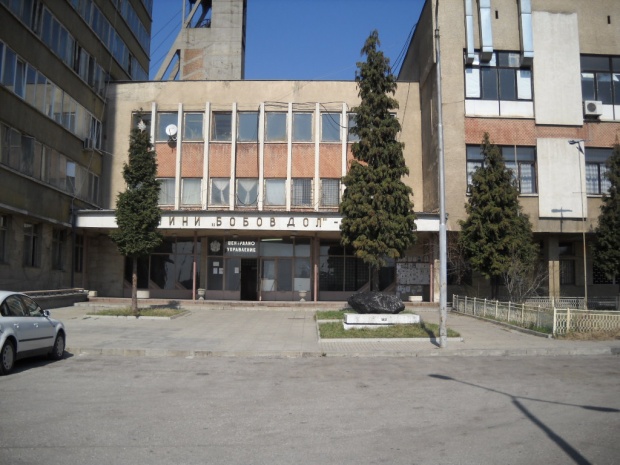 мини бобов дол