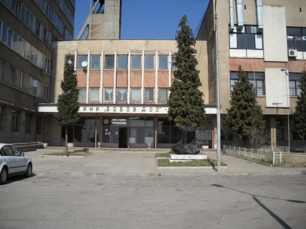 мини бобов дол