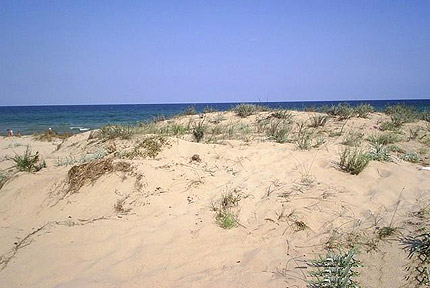 гр. Несебърдюни