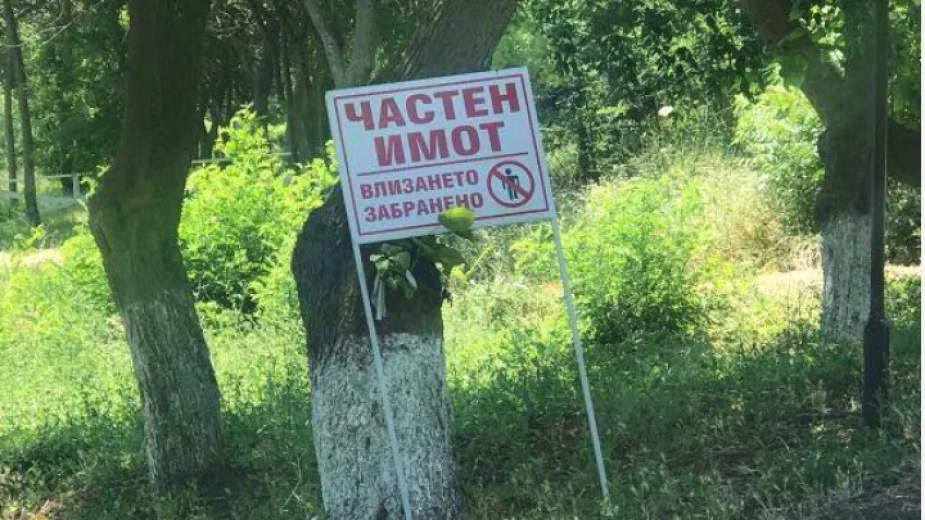 завзета улица