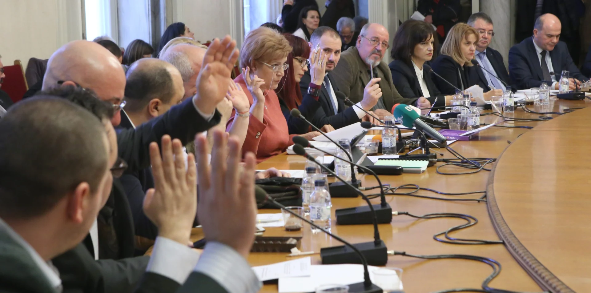 Парламент - комисия по бюджет и финанси Менда Стоянова