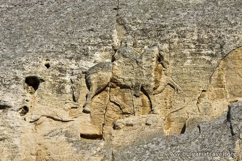 Migration Image