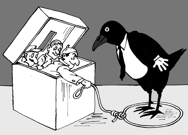Migration Image