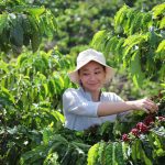 Нестле обяви инвестиция от 1 милиард швейцарски франка в NESCAFÉ План 2030 за насърчаване на регенеративно земеделие кафе робуста
