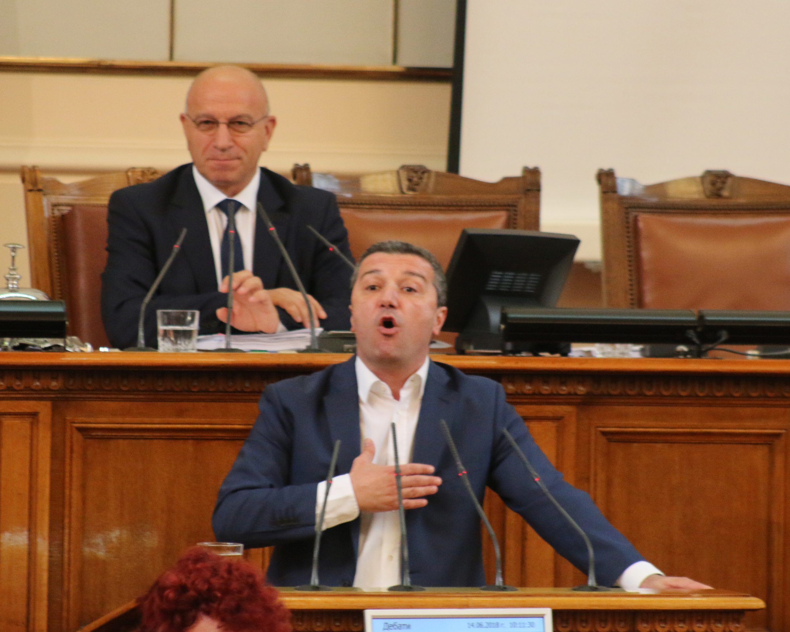 Парламент Драгомир Стойнев