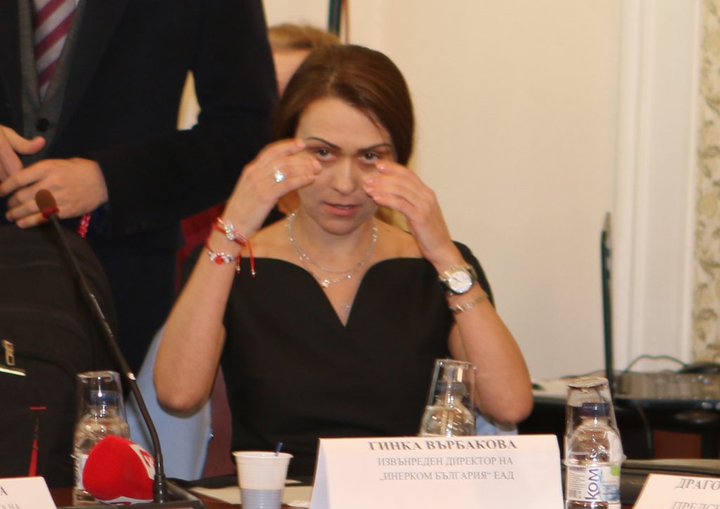Парламент комисия по енергетика Гинка Върбакова
