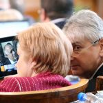 Парламент Менда Стоянова