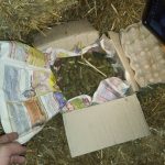 наркотици и алкохол