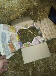 наркотици и алкохол
