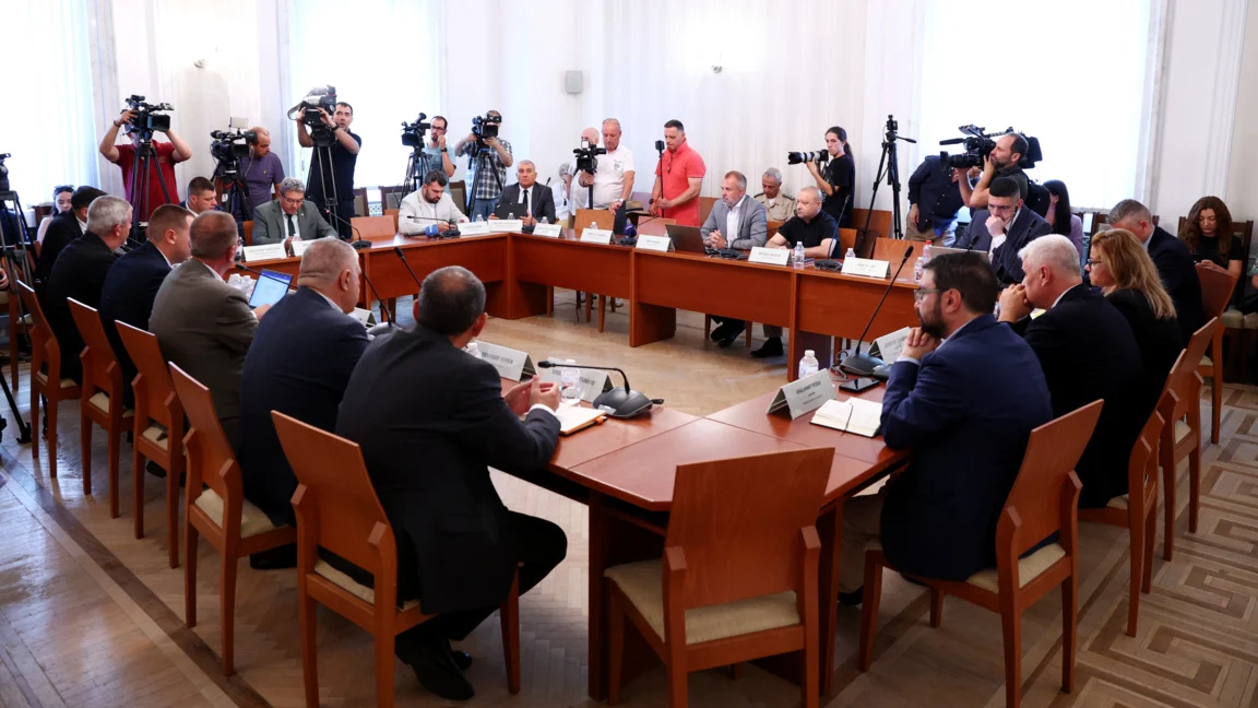 Комисията по отбрана в парламента одобри разполагането на самолети на САЩ в „Безмер“