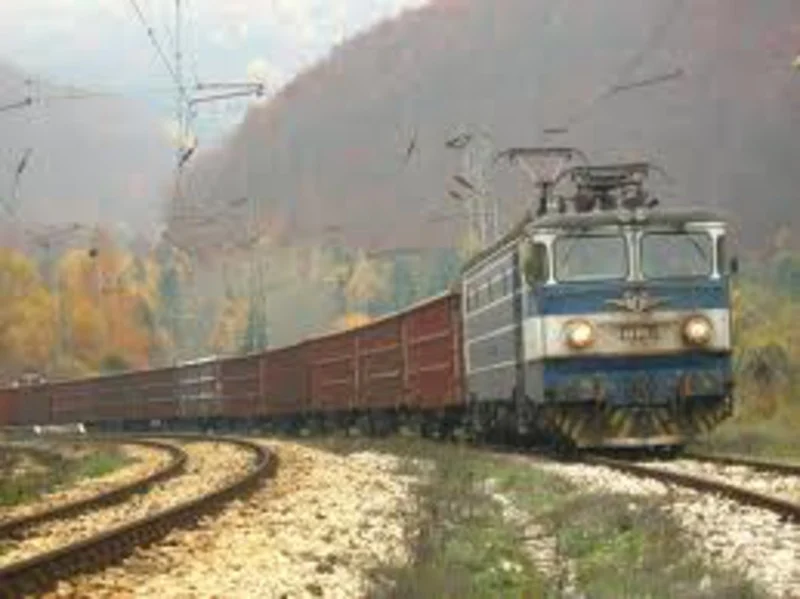 Migration Image