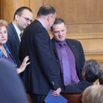 Парламент Менда Стоянова