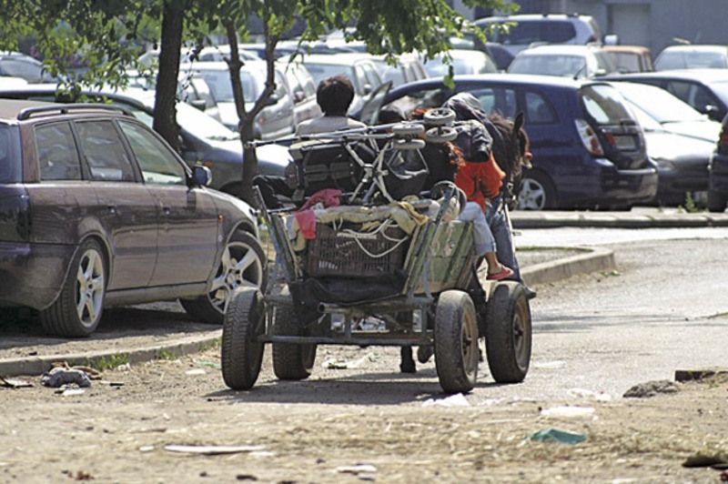 Migration Image