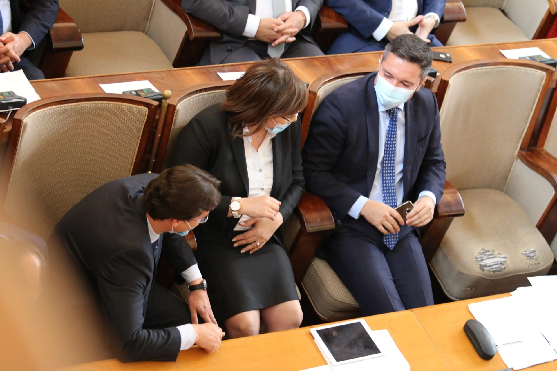 Парламент Корнелия Нинова