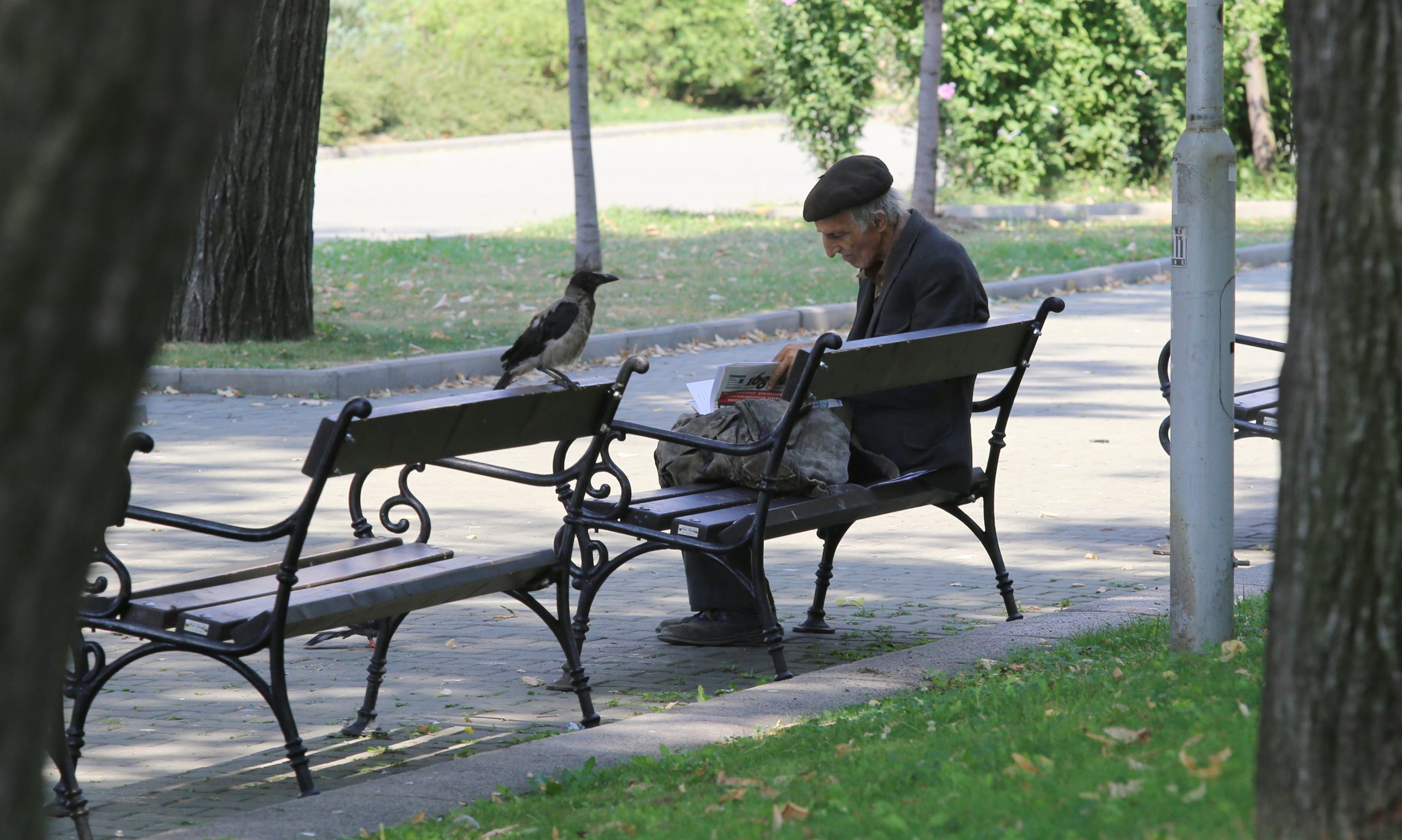 пенсионер