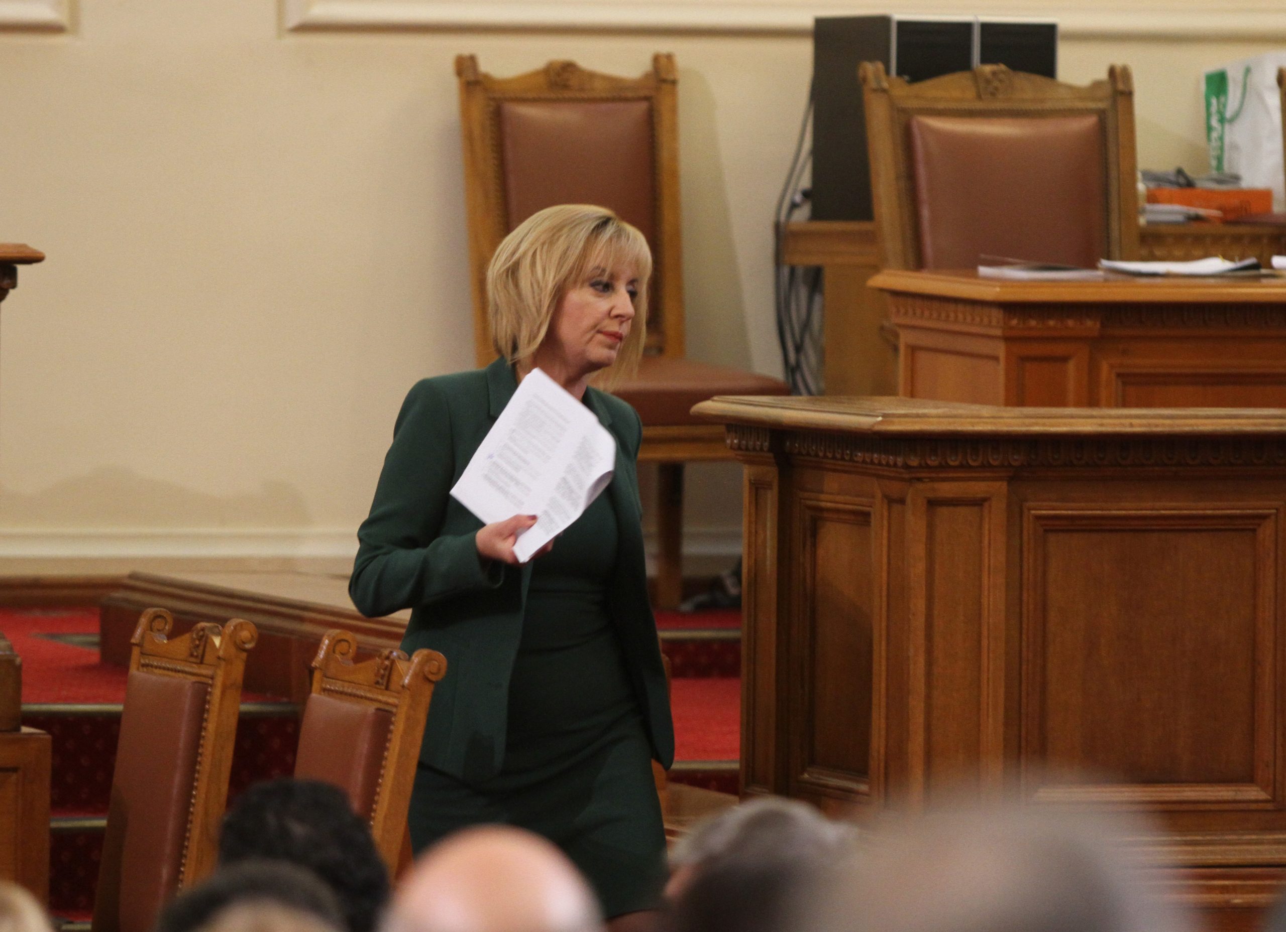 Парламент Мая Манолова - БСП
