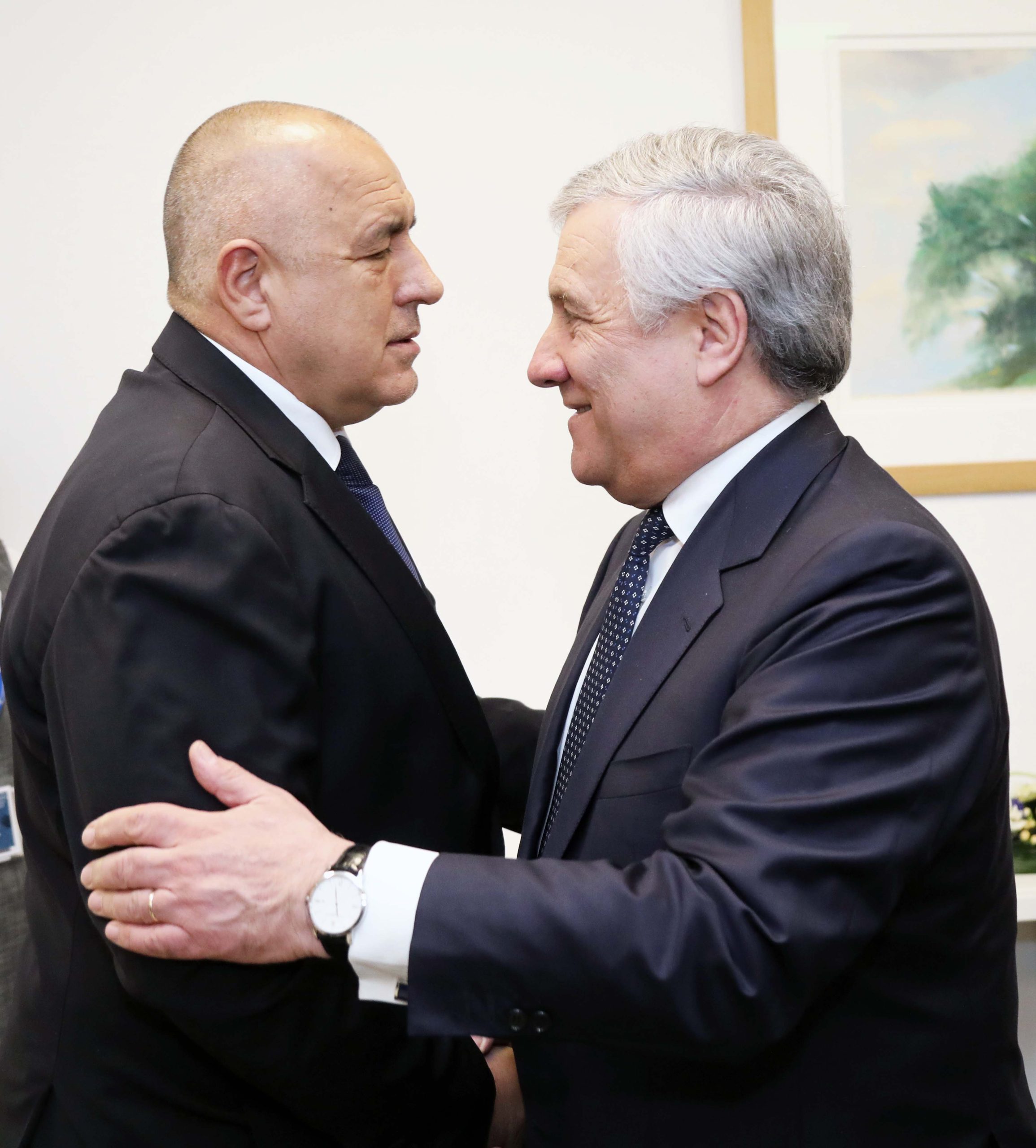 борисов таяни