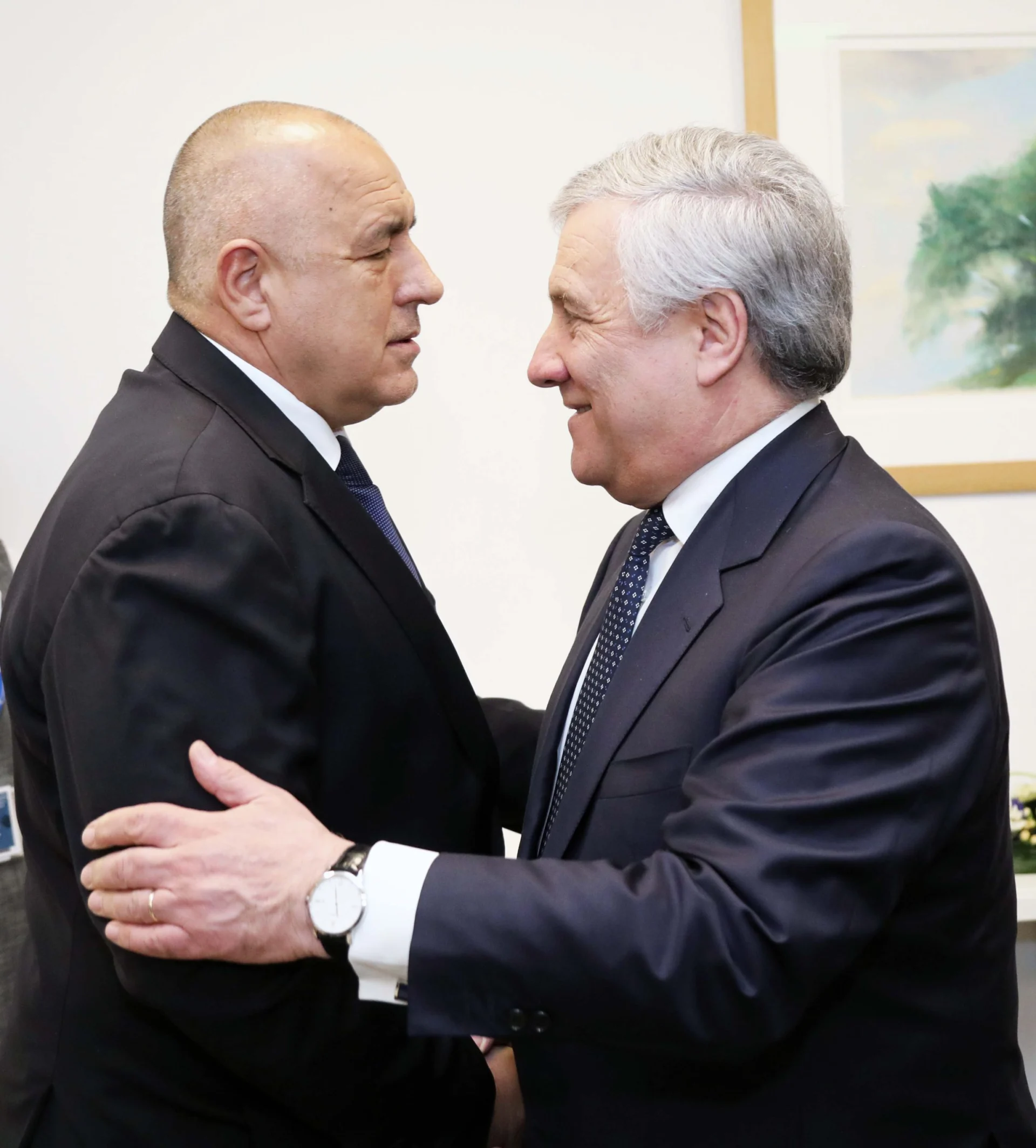 борисов таяни
