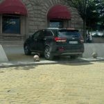 джип тити папазов