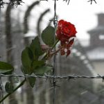 Днес е Международният ден в памет на жертвите на Холокоста