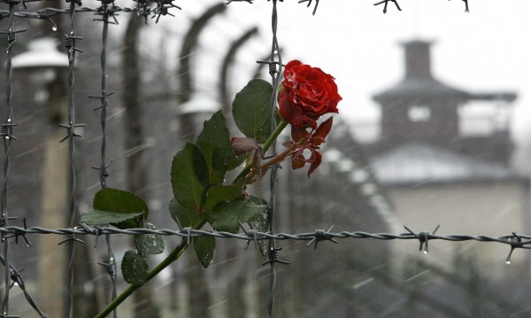 Днес е Международният ден в памет на жертвите на Холокоста