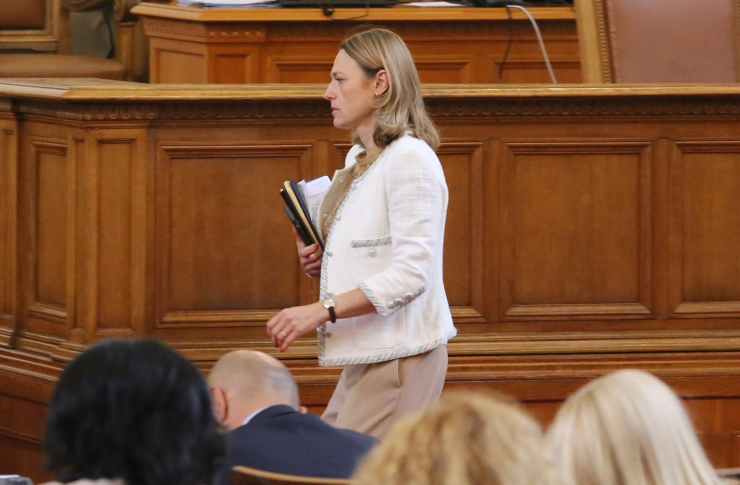 Парламент Ива Митева