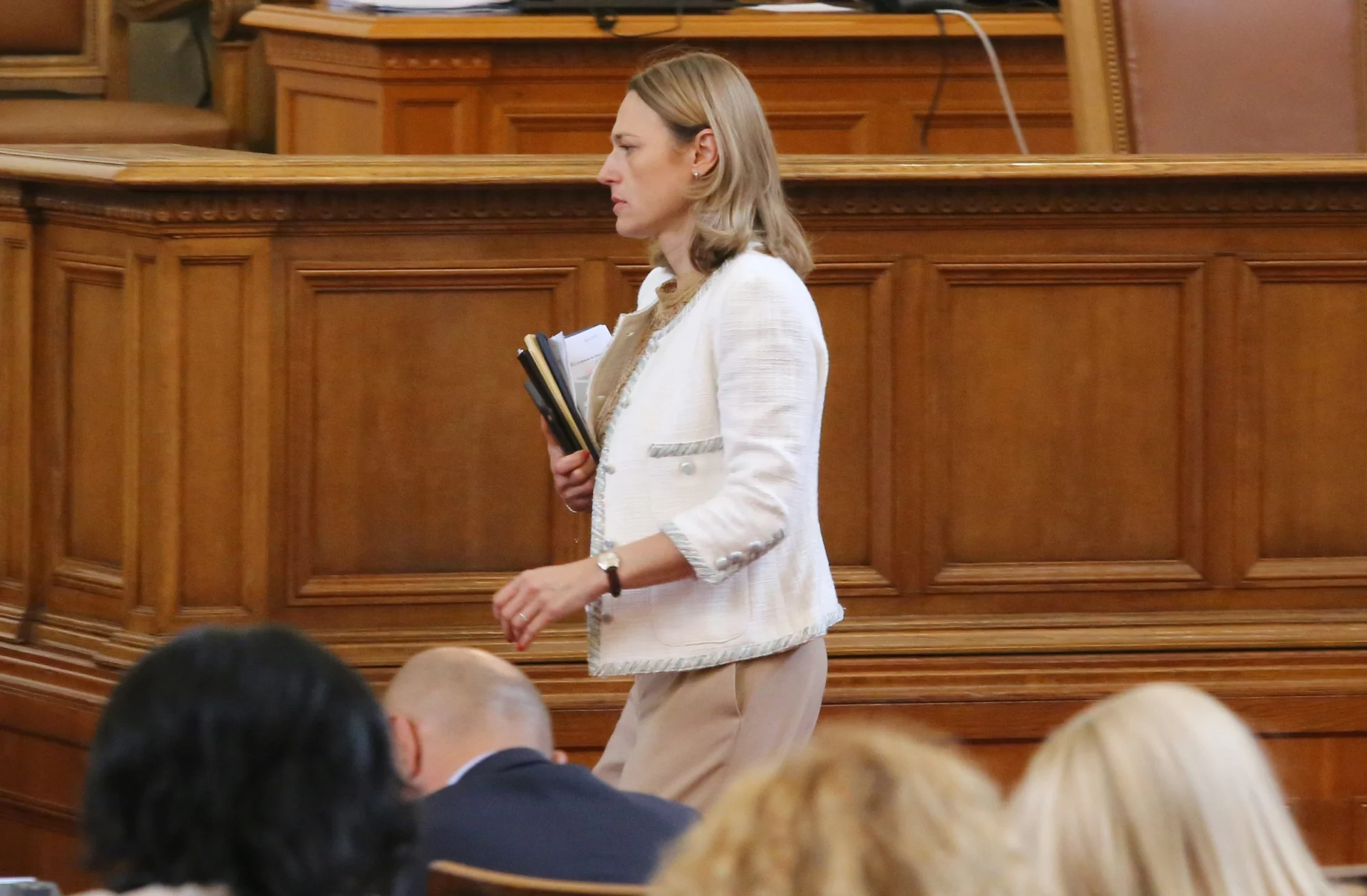 Парламент Ива Митева