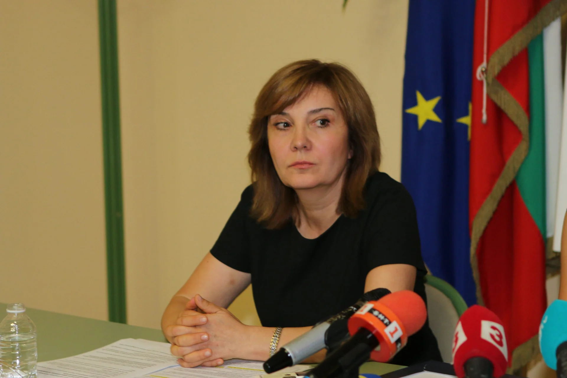 Пресконференция на НАП Галя Димитрова
