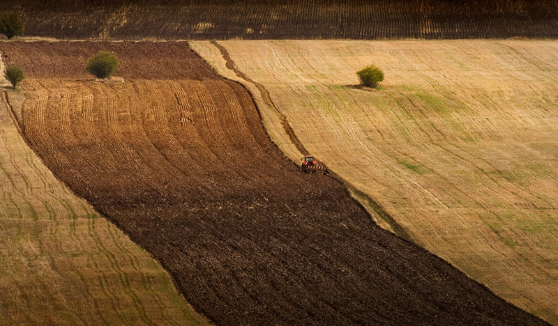 Migration Image
