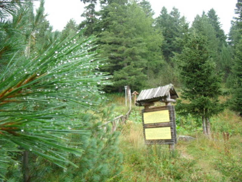 Migration Image