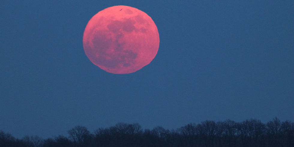 розова луна