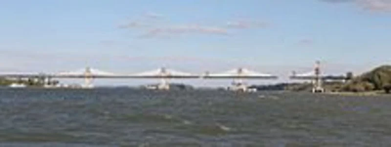 Migration Image