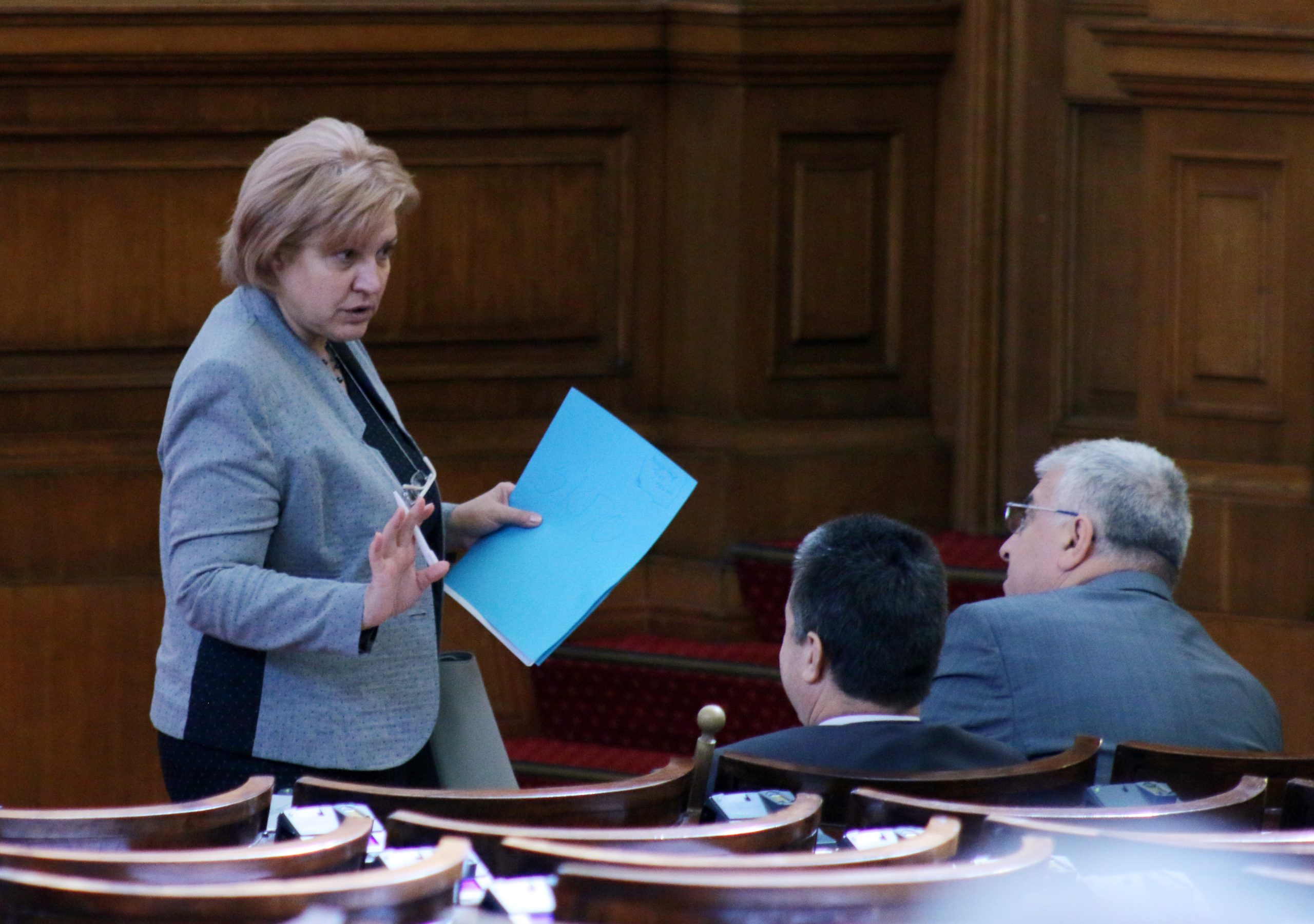 Парламент Менда Стоянова Янаки Стоилов Румен Гечев