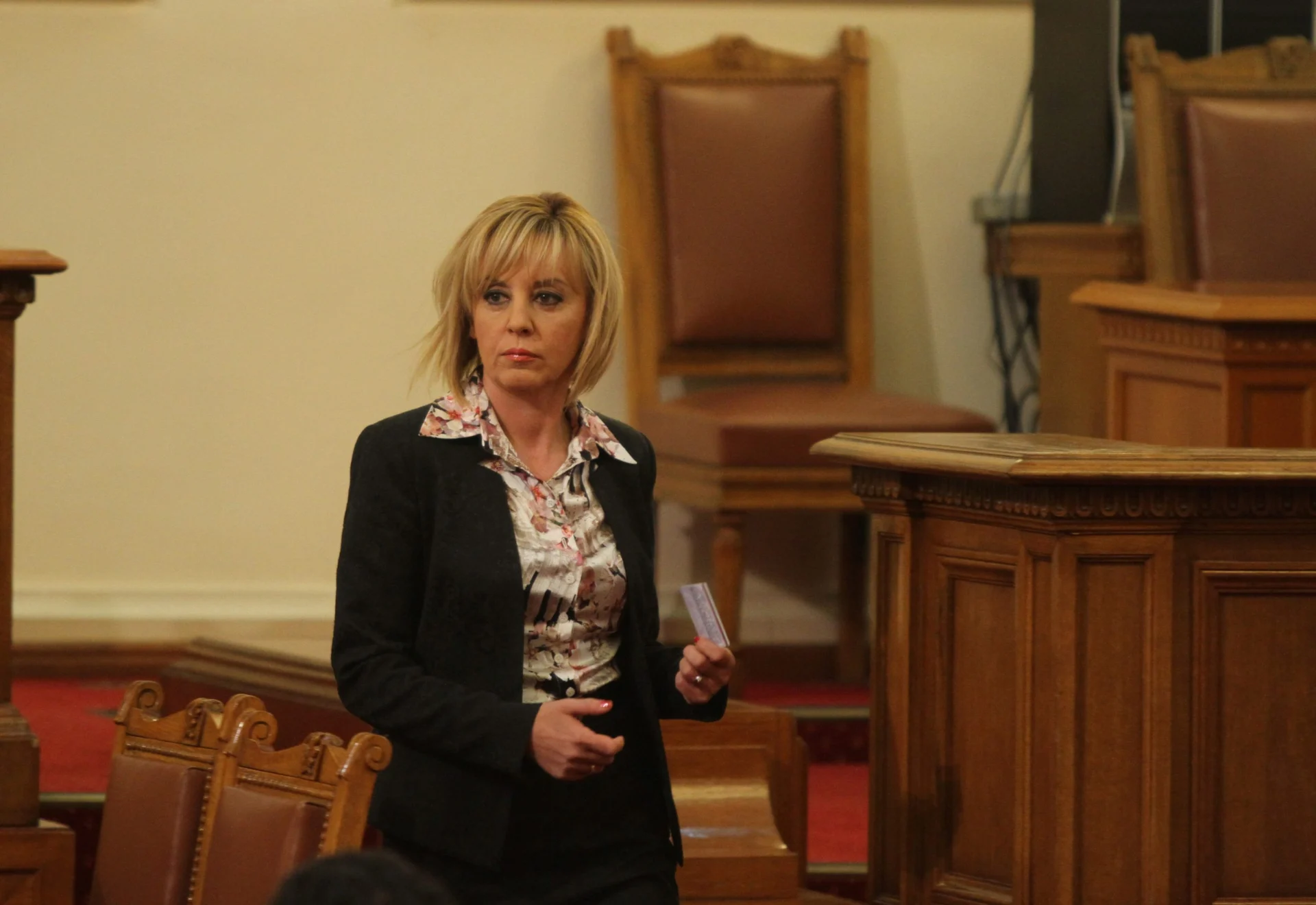 Парламент Мая Манолова - БСП