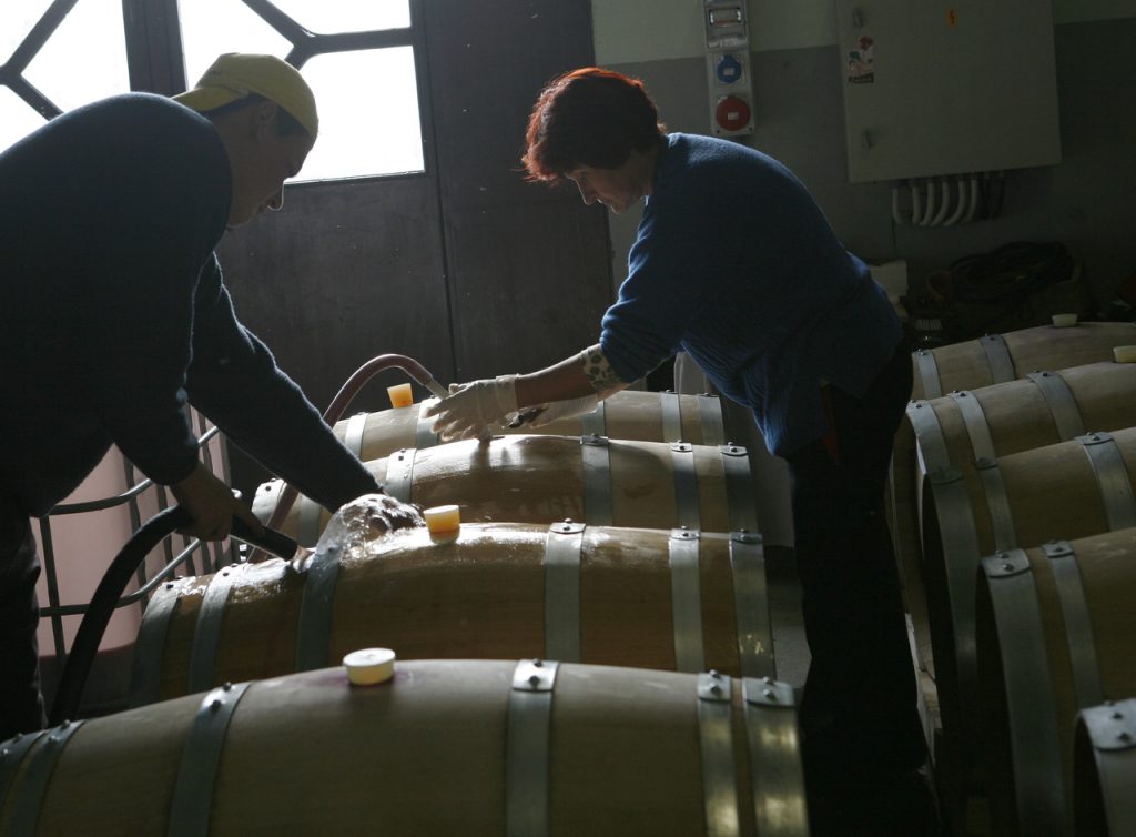 Памидововинобъчви